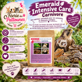 🩺🦊 EmerAid Intensive Care Carnivore – 100 g