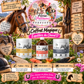 🐴🎁 Coffret Magique – Équilibre du Cheval ✨