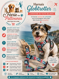 🌍🐶 Harnais Globtrotter – Bleu Turquoise (Tailles XS • S • M)