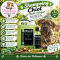 🐾✨ Shampoing Morgan – Chiot à l’Huile d’Argan (250 ml • 1 L • 5 L)