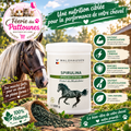 💪🐴 Waldhausen – Granulés de Spiruline Cheval (1 kg)