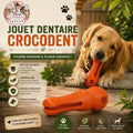 🐊 Jouet Dentaire Crocodent – 18,8 cm