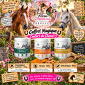 🐴🎁 Coffret Magique – Confort du Cheval ✨