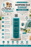 💎 Shampooing Éclat Diamant – Anju Beauté (250 ml)