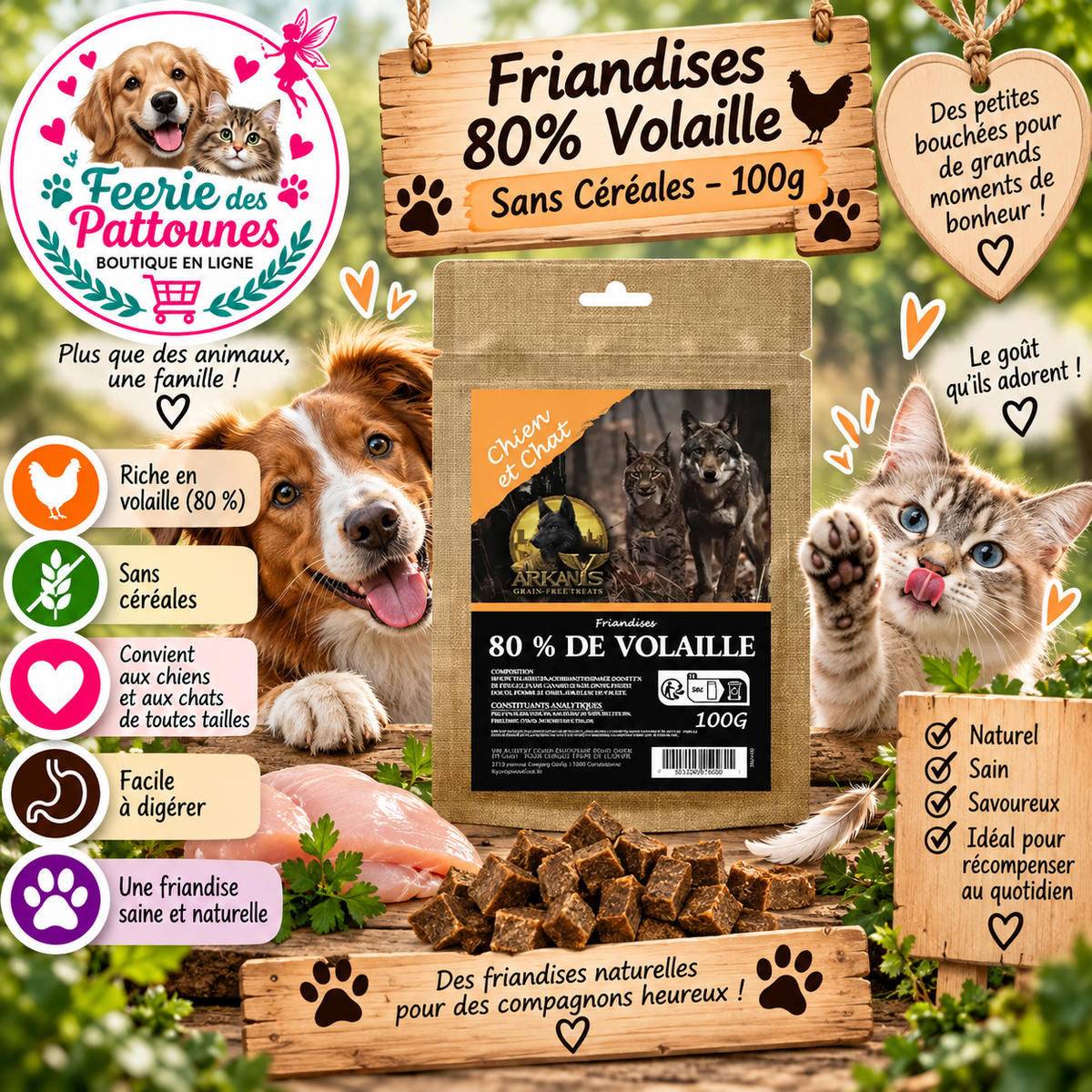 🍗🔥 Friandises 80 % Volaille – Sans Céréales – 100 g