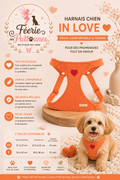 🧡💘🐶 Harnais In Love – Orange (Tailles XS • S)
