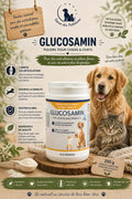 🦴 Glucosamin Poudre – Mobilité & Cartilage (250 g)