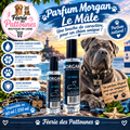 🐾🔥 Parfum Morgan – Le Mâle (60 ml • 250 ml)