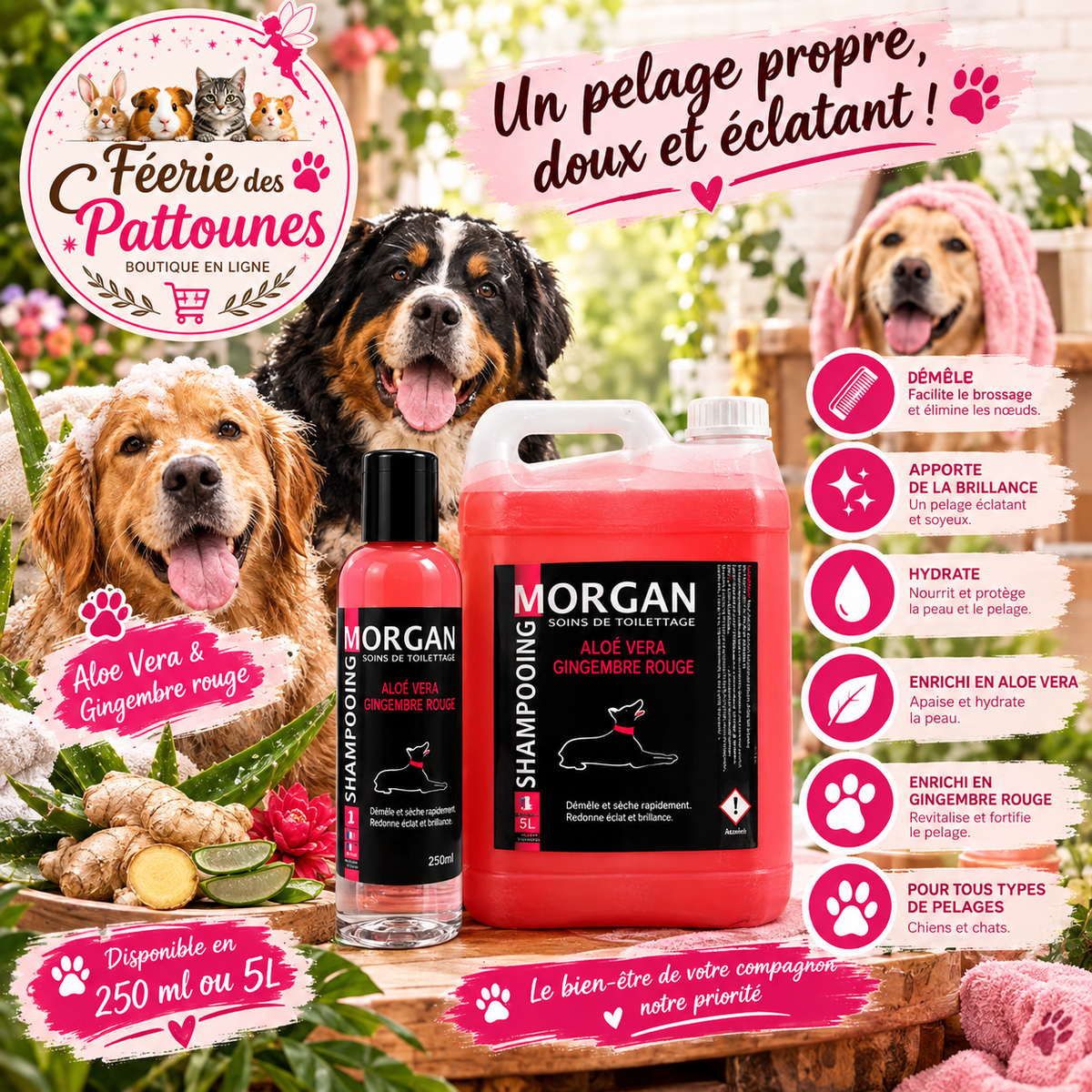 🍃🔥 Shampoing Morgan – Aloe Vera & Gingembre Rouge (250 ml • 5 L)