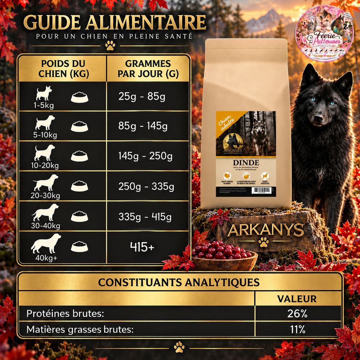 🦃 Croquettes Sans Céréales – Dinde, Patate Douce & Canneberge – Chien Adulte (12 kg)