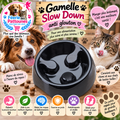 🐶🍽️ Gamelle Slow Down Anti‑Glouton – Savic