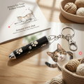 🐾 Jeu Laser pour Chat – Zolux – Jouet Interactif avec Piles LR44 Incluses