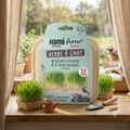 🌱 Herbe à Chat – Prêt à Faire Pousser – Barquette Compostable (2 × 125 g)