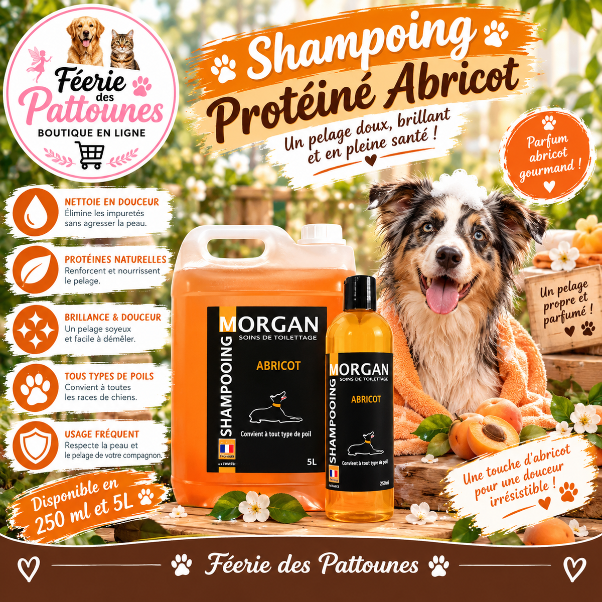 🐾🍑 Shampoing Morgan – Protéiné Senteur Abricot (250 ml • 5 L)