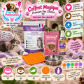 🐱✨ Pack Chaton – Coffret Magique “Mes Premiers Pas de Chaton”