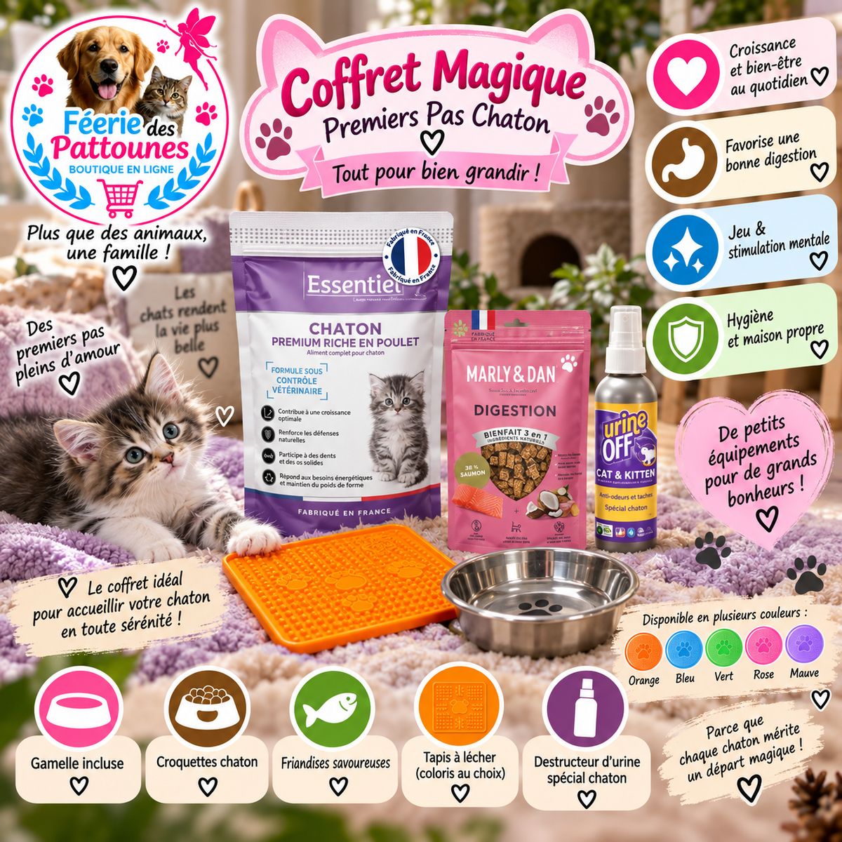 🐱✨ Pack Chaton – Coffret Magique “Mes Premiers Pas de Chaton”