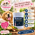 🌺🐾 Crème Démêlante Morgan – Beurre de Mafura & Huile d’Argan (250 ml • 1 L)