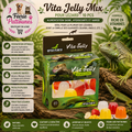 🍇🦎 Vita Jelly Mix pour Lézard – 10 pcs