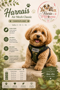 🐶🟩 Harnais Air Mesh Classic – Camouflage (Tailles S • M • L • XL)