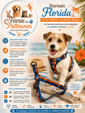 🌴💙🧡🐶 Harnais Florida – Bleu & Orange (Tailles XS • S • M)