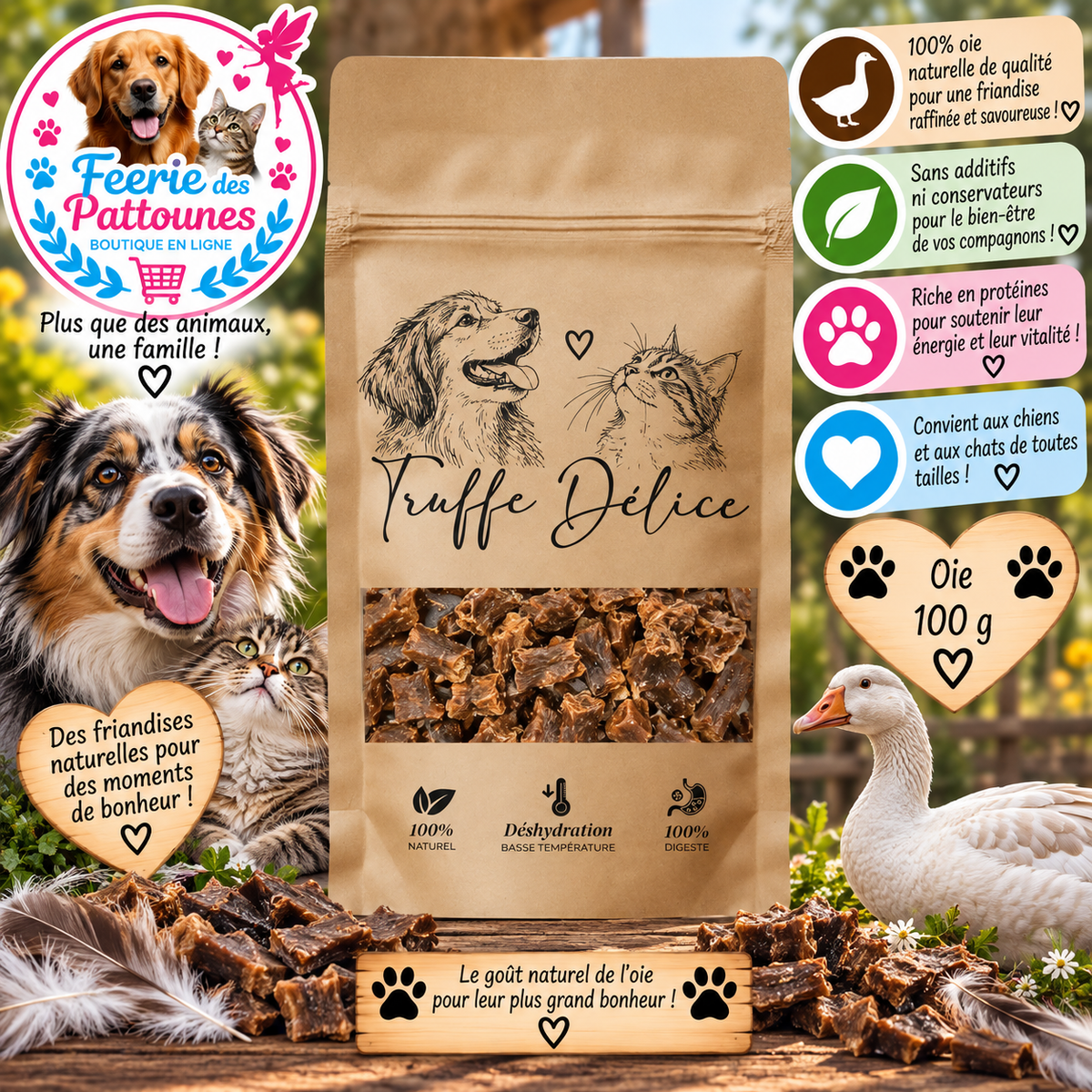 🪶🔥 Friandises Oie – 100 % Naturelles