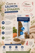 🐟🌿 Cœurs au Saumon & Épinards – Les Filous (50 g)