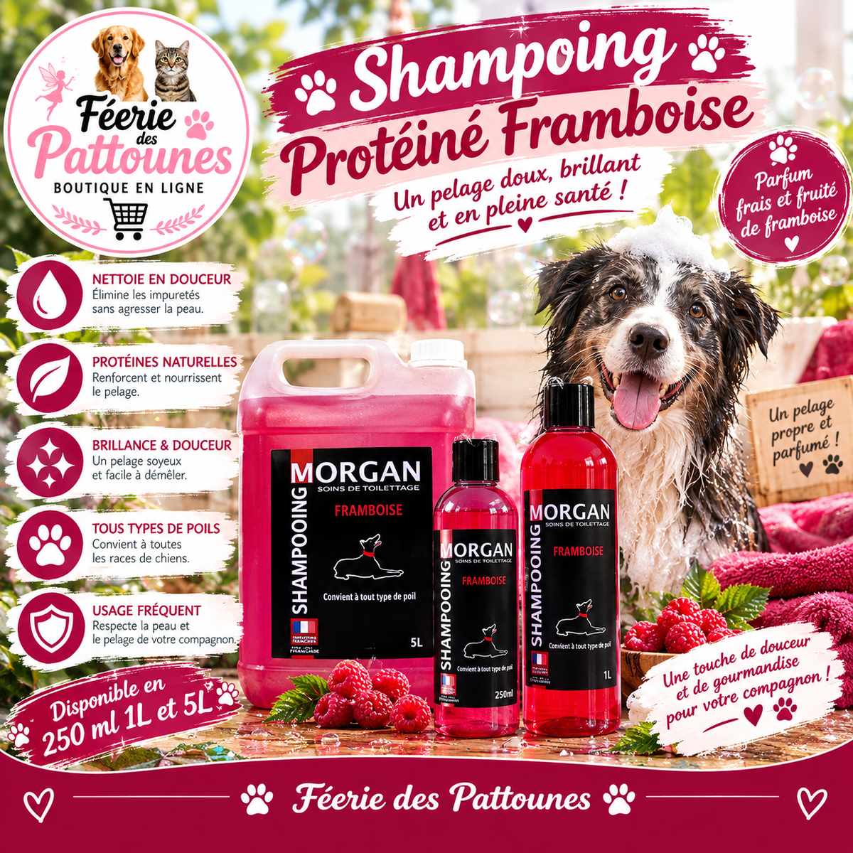 🐾🍓 Shampoing Morgan – Protéiné Senteur Framboise (250 ml • 1 L • 5 L)