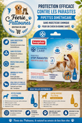 🛡️🌿🐶 Pipettes Diméthicare Stop Parasites – Beaphar Chien (6 pipettes)