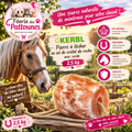 🧂🐴 Pierre à Lécher Kerbl Delizia – Sel de Cristal de Roche (2,5 kg)