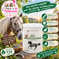 🐴🪨 Waldhausen – Mega Mineral Cheval (3 kg)