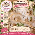 🪵🐇 Kerbl – Parcours Mural Skywalk pour Lapin (6 pièces en bois massif)
