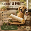 🐂 Queue de Bœuf – Friandise Naturelle pour Chien (Tailles S • L)