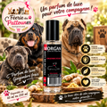 🔥🌿 Parfum de Luxe Morgan – Gingembre Rouge (60 ml • 250 ml)