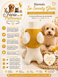 💛✨🐶 Harnais So Sweety Glam – Jaune (Tailles XS • S • M)