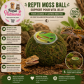 🌿🦎 Repti Moss Ball – Support pour Vita Jelly
