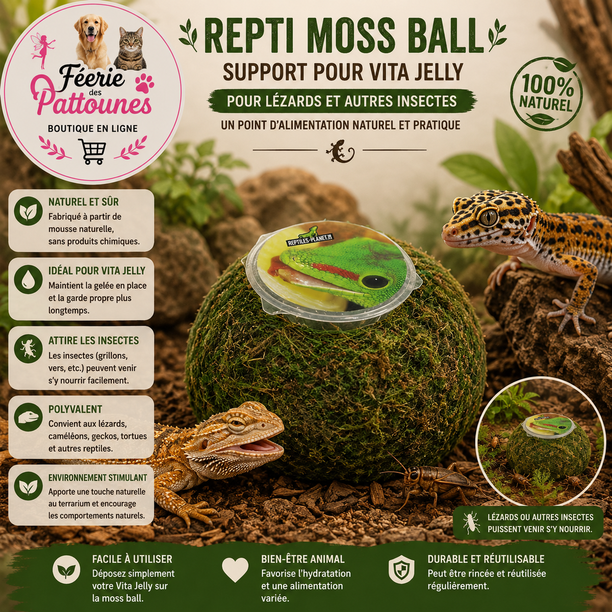 🌿🦎 Repti Moss Ball – Support pour Vita Jelly