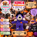 🎃🧸 KONG® Halloween Wild Knots Witch Bear – Violet – 25,4 cm