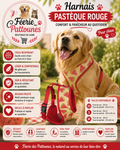🍉🐶 Harnais Tee‑shirt Pastèque – Rouge (Tailles XS • S • M)