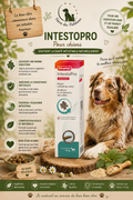 🐶 Intestopro – Pâte Digestive pour Chiens de Plus de 15 kg