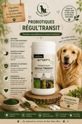 🐶 Regul’Transit Biovétol – Probiotiques Naturels pour Chien (20 comprimés)