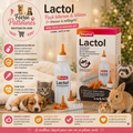 🍼🐾 Pack Biberon & Tétines – Kit Complet + Brosse de Nettoyage