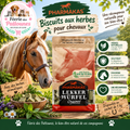 🌿🐴 Pharmakas – Biscuits aux Herbes pour Chevaux (1 kg)