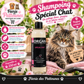 🐾🐱 Shampoing Morgan – Spécial Chat (250 ml)