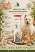🐾 Intestopro – Pâte Digestive Chats & Petits Chiens (20 ml)