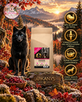 🦃 Croquettes Sans Céréales – Dinde, Patate Douce & Canneberge – Chien Adulte Grande Race (12 kg)
