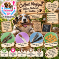 🐶🎁 Coffret Magique – Délices Naturels du Toutou