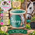 🌿🐴 Bizzy Horse – Pierre à Lécher Menthe (1 kg) – Recharge Bizzy Ball