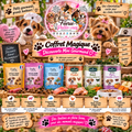 🐶🎁 Coffret Magique – Découverte Mini Gourmand