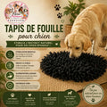 🐾 Tapis de Fouille pour Chien – Stimulation & Anti‑Glouton (45 × 30 cm)
