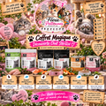 🐱🎁 Coffret Magique – Découverte Chat Stérilisé
